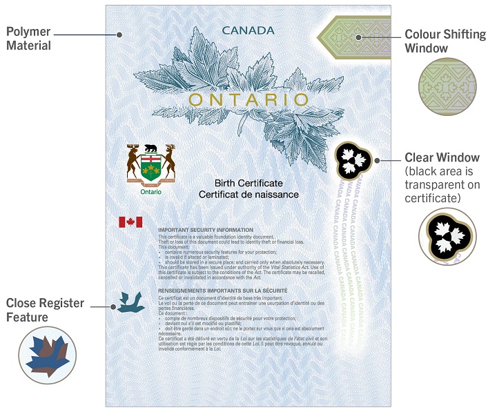 Ontario introduces new secure polymer birth certificates - image