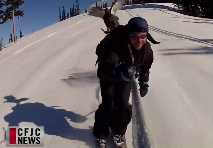 Sean Doffe went skiing in the backcountry of B.C. southern interior and made a friend along the way.