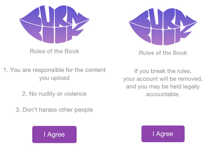 A "Burnbook" app is stirring controversy across North America, with critics saying it encourages cyberbullying.