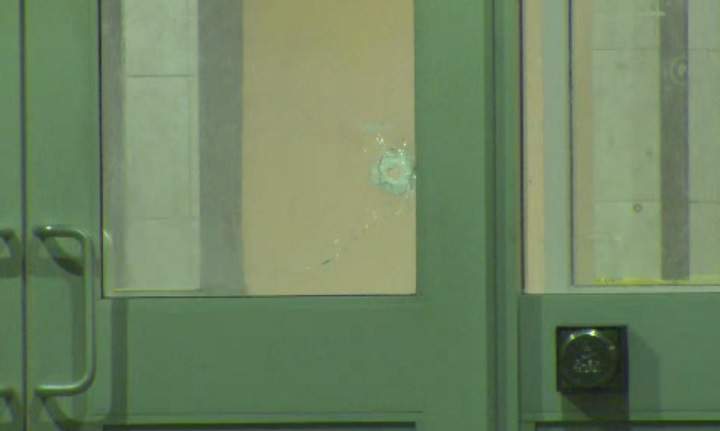 Police investigate shooting in Etobicoke - image