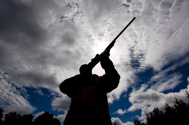 A rifle owner checks the sight of his rifle at a hunting camp property in rural Ontario, west of Ottawa, on Wednesday Sept. 15, 2010.