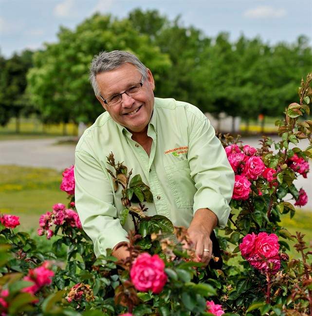Fresh trends and tips for spring gardening