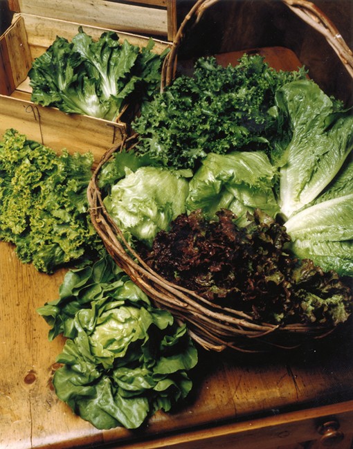 Fill plate with leafy greens for nutrient boost