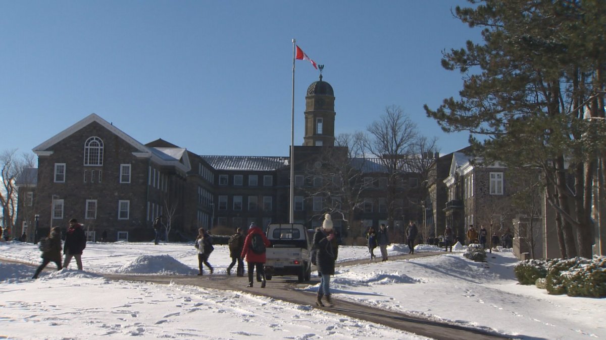 Dalhousie students kicked out of residence over content posted on social media - image