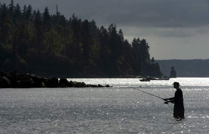 The Freshwater Fisheries Society of B.C.  will receive 100 per cent of the revenues generated from fishing licences, the provincial government announced Monday.