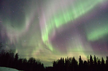 PHOTOS: Northern Lights seen across B.C. | Globalnews.ca