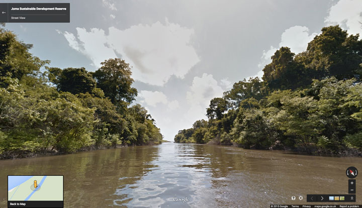 Google Maps gives tree-top glimpse of what it’s like to ‘zip’ through Amazon - image