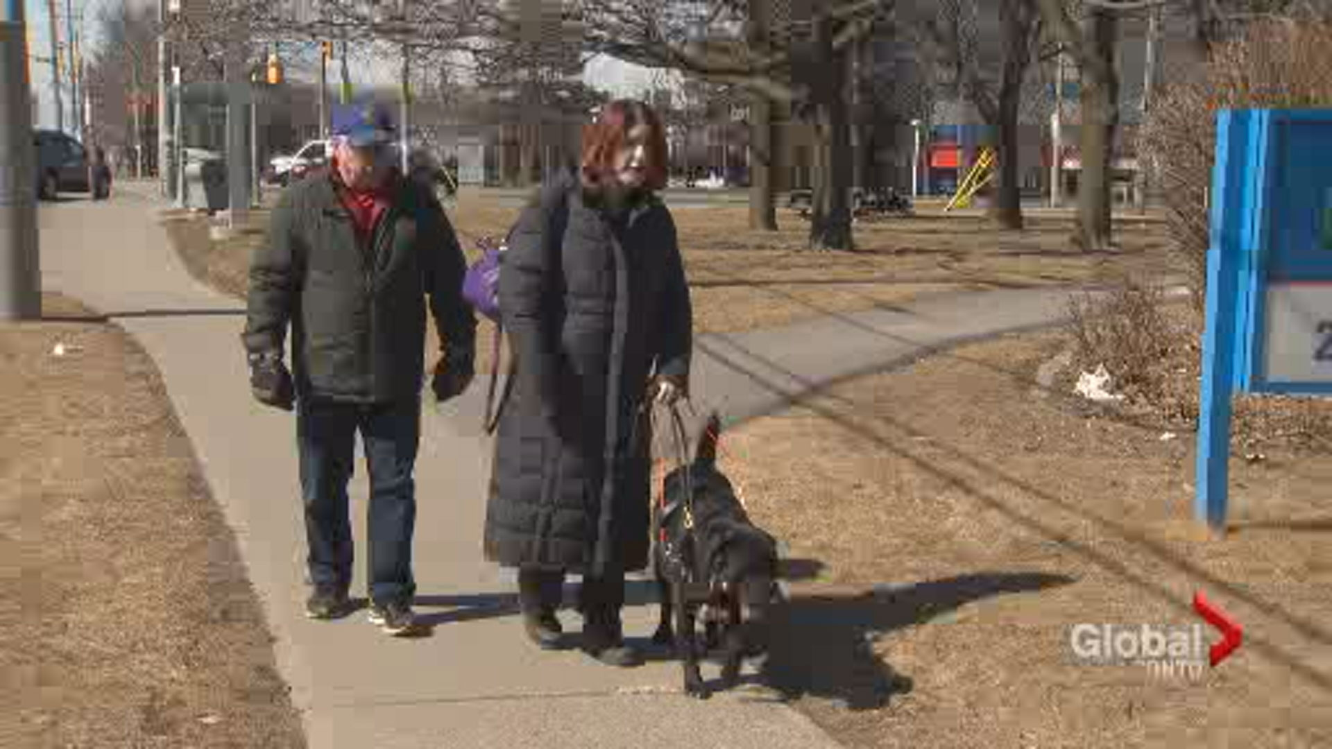 Toronto police investigate woman’s claim of discrimination over guide ...
