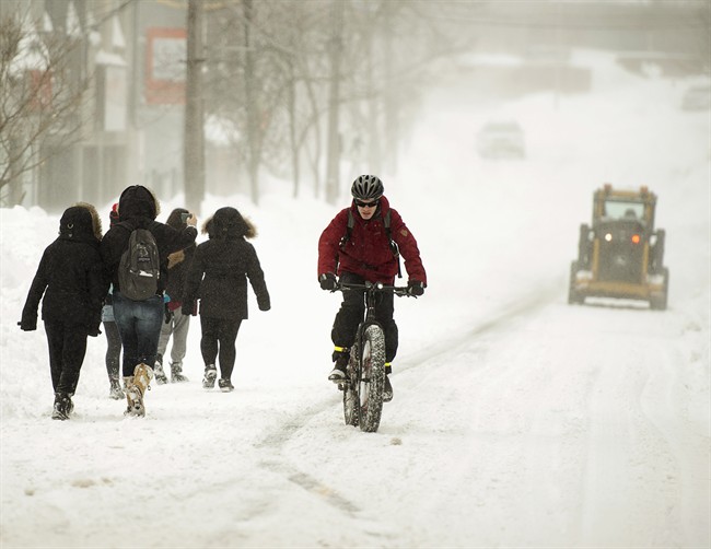 A cyclist rides in Halifax on Wednesday, March 18, 2015.