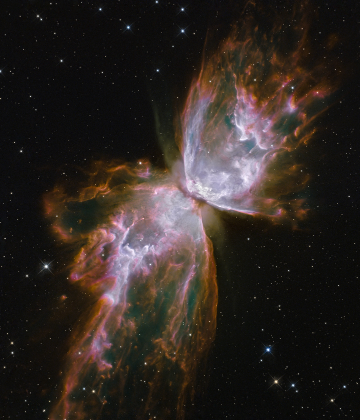 The Bug Nebula