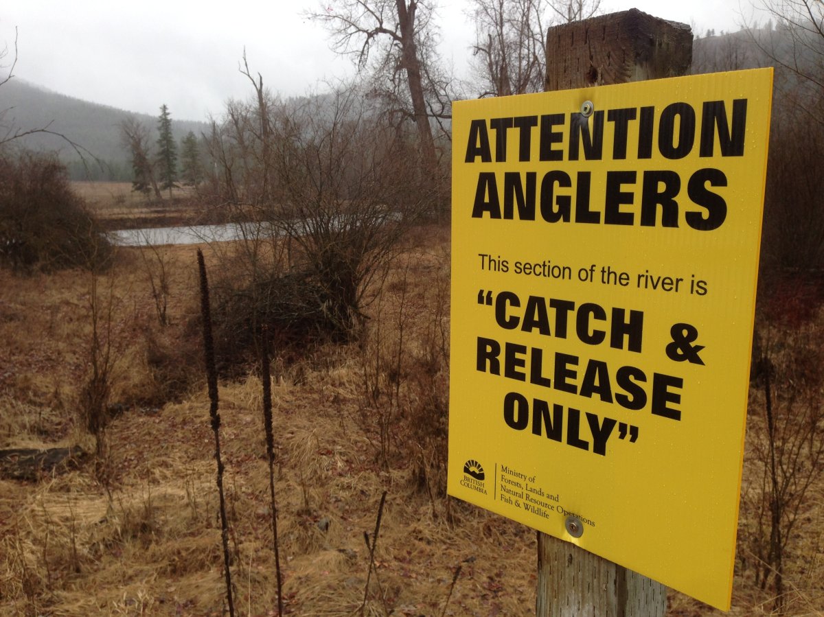 Major changes to fishing regulations at local river - image