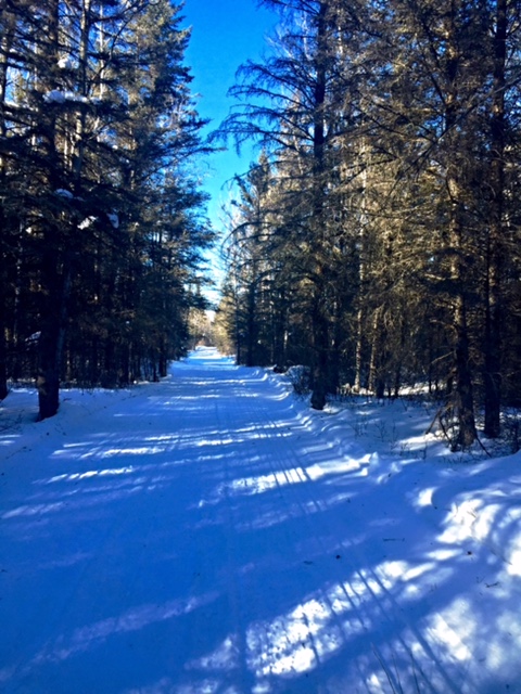 Your MB