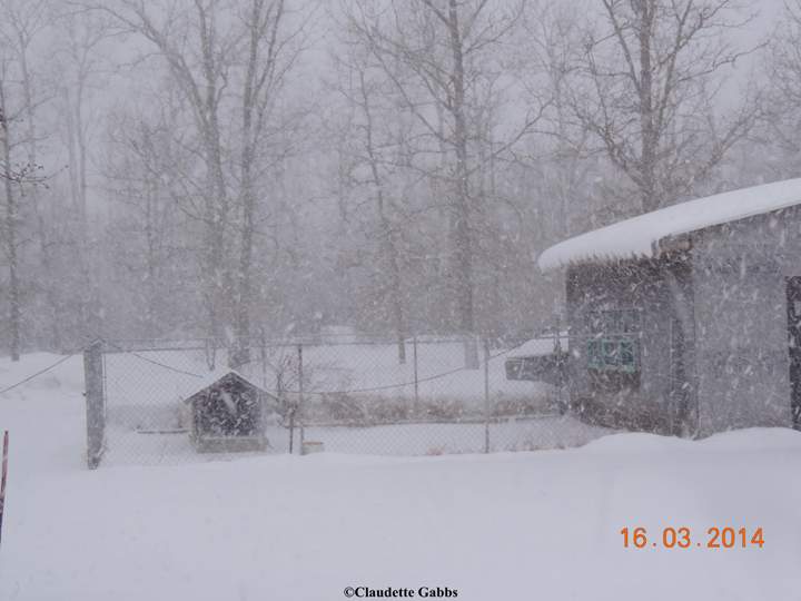 Ste. Anne Manitoba March 16 2014 Claudette Gabbs