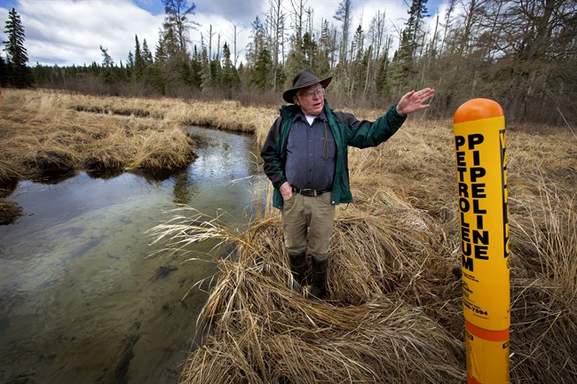 In this May 12, 2014 file photo, Paul Stolen, a retired state biologist, shows some of the sensitive wetland areas near Minnesota's Itasca State Park.