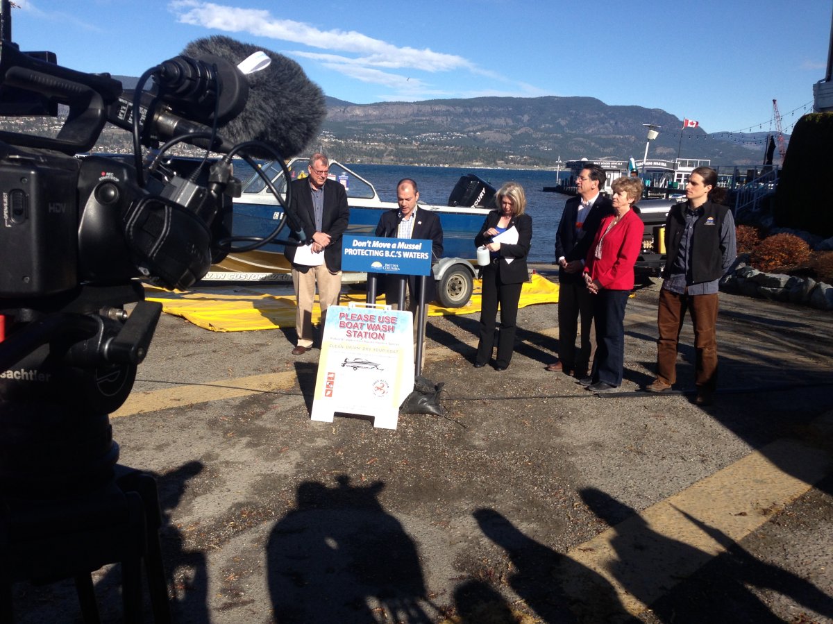 B.C. launches fight against invasive mussels - image