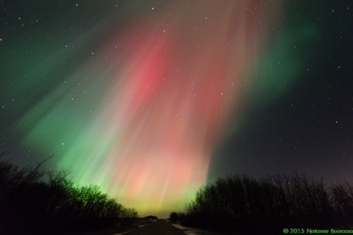Beautiful aurorae light up the sky in Saskatchewan in March.