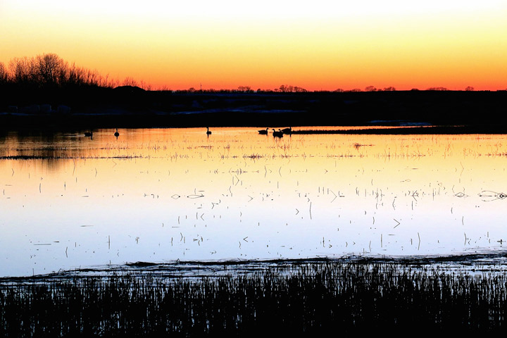 March 29: This Your Saskatchewan photo was taken by Kirby Sarvas at Unity.