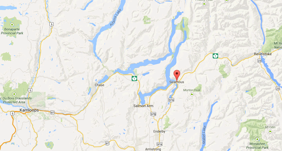 Man struck and killed by CP train near Sicamous - image