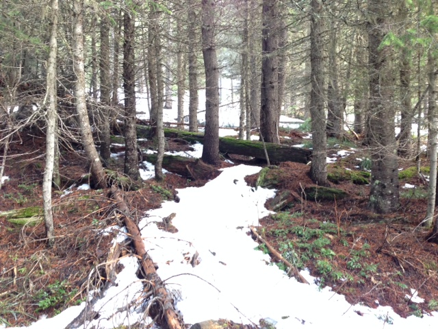 FILE PHOTO: Snowpack is below average in B.C.