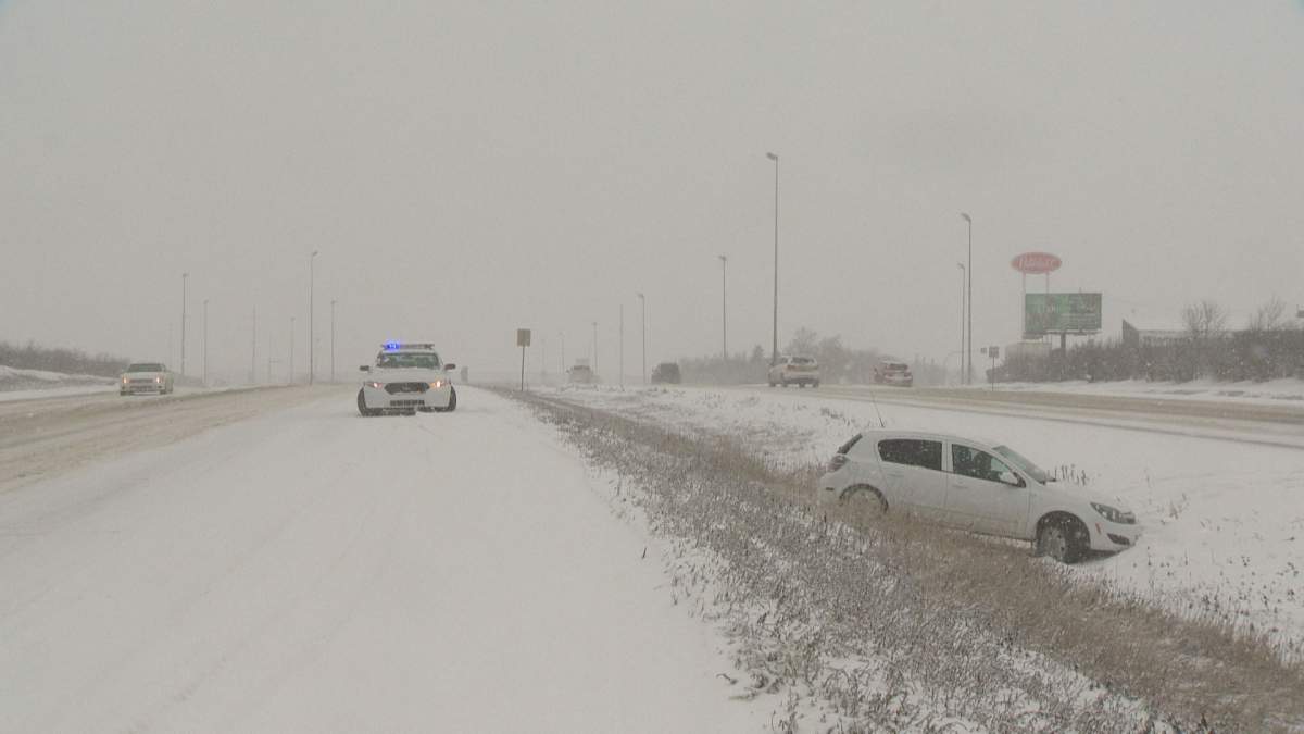 Reginans coping with ‘second winter’ - image