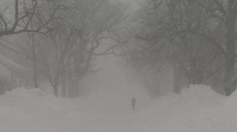 A pedestrian walks up Novalea Drive in Halifax on March 18, 2015. Some parts of the city saw more than 50 centimetres of snowfall during the latest storm to hit the region.