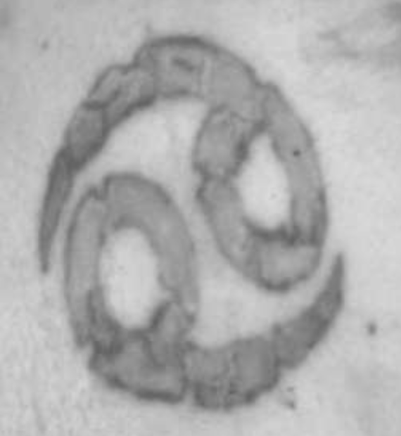 Transit police ask for help identifying deceased man - image