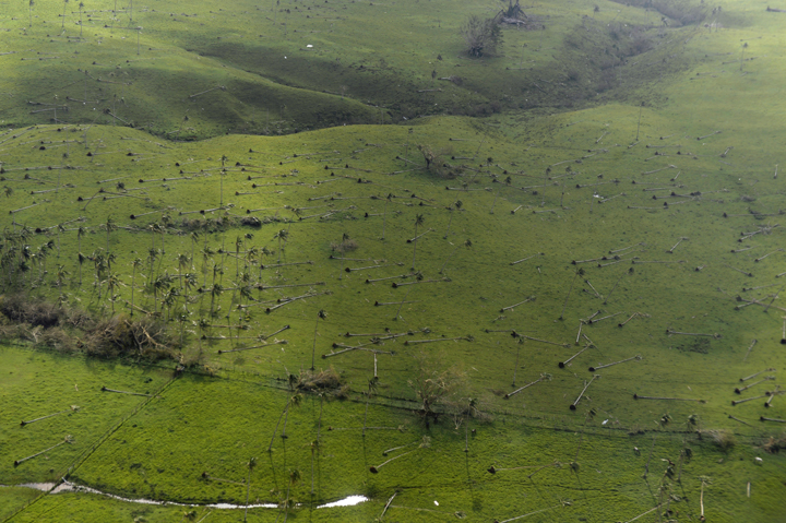 This aerial photo taken on March 16, 2015 above the suburbs of Port Vila shows uprooted tress after Super Tropical Cyclone Pam tore through Vanuatu on March 13, packing wind gusts of up to 320 km/h.