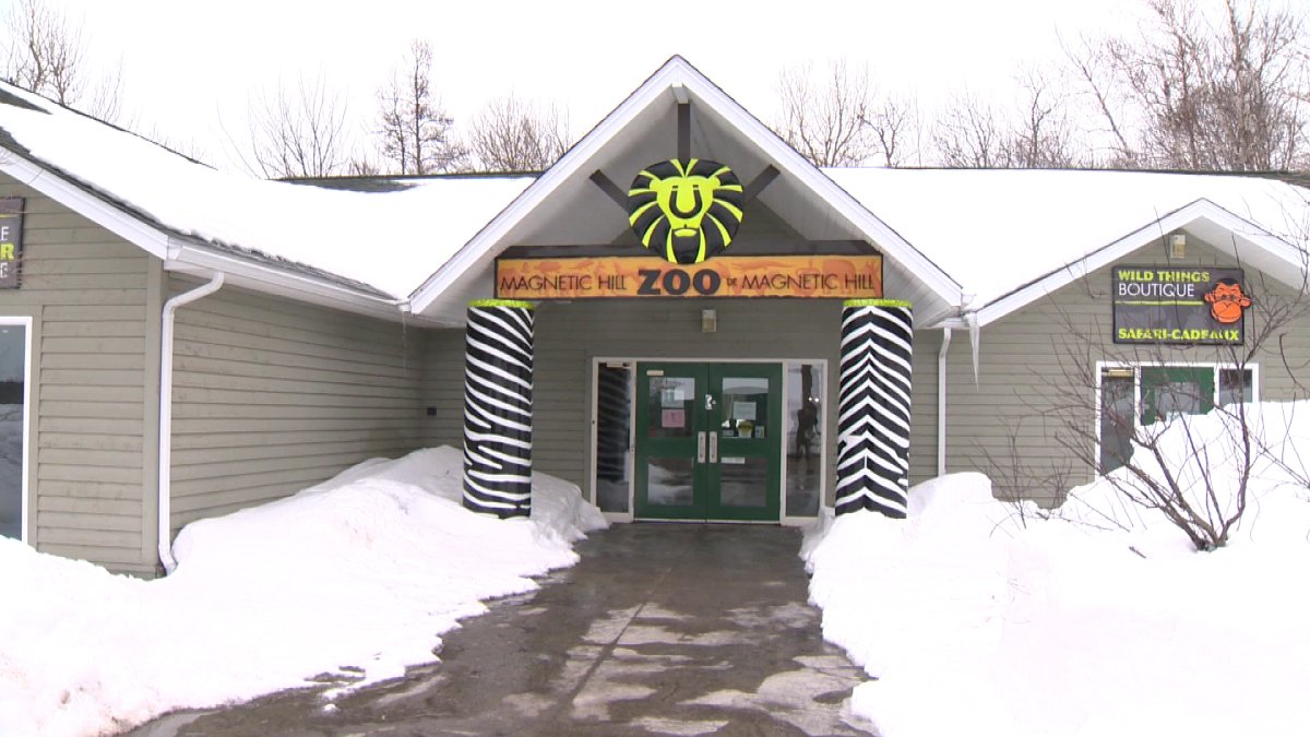Magnetic Hill Zoo in Moncton is delaying its spring opening because of snow.