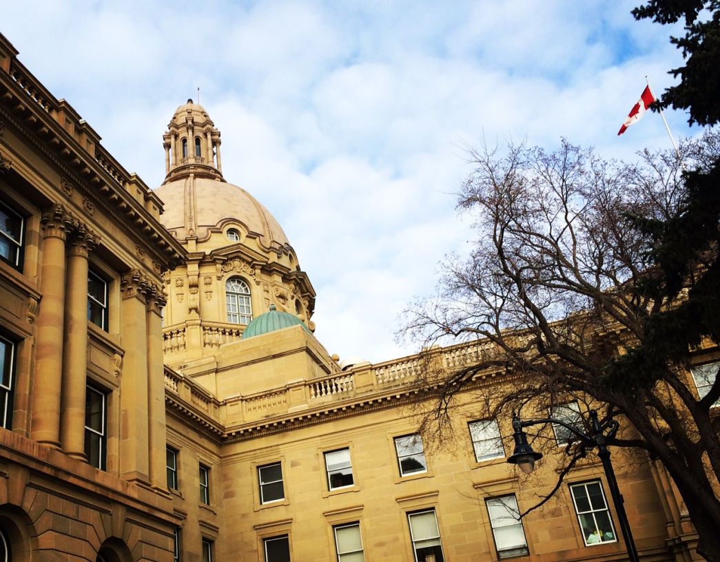 Improvements to the government's STEP initiative will help students get more work.