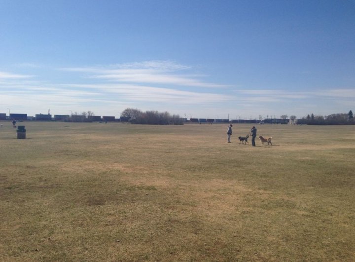 Offleash area in Edmonton’s Grand Trunk dog park to be fenced by city