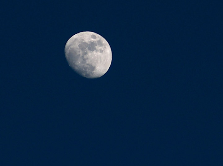 April 2: This Your Saskatchewan photo of a waxing gibbous Easter moon over Lashburn was taken by Gordon Rook.