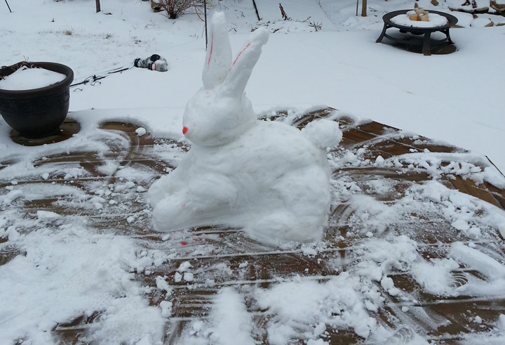 April 9: Amber Kraus took this Your Saskatchewan photo in Saskatoon.