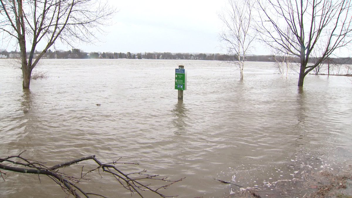 Fredericton, Jemseg reach flood stage, EMO warns more on the way New Brunswick Globalnews.ca