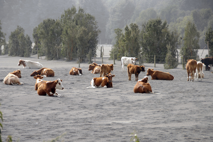 General view of Ensenada town covered with volcanic ash after the Calbuco volcano erupted near Puerto Varas in the Llanquihue Region, Chile on April 23, 2015 in Ensenada, Chile.