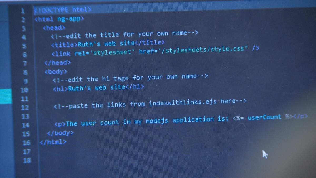 A new provincial program will help kids aged 12 to 15 learn to code, along with other digital skills.