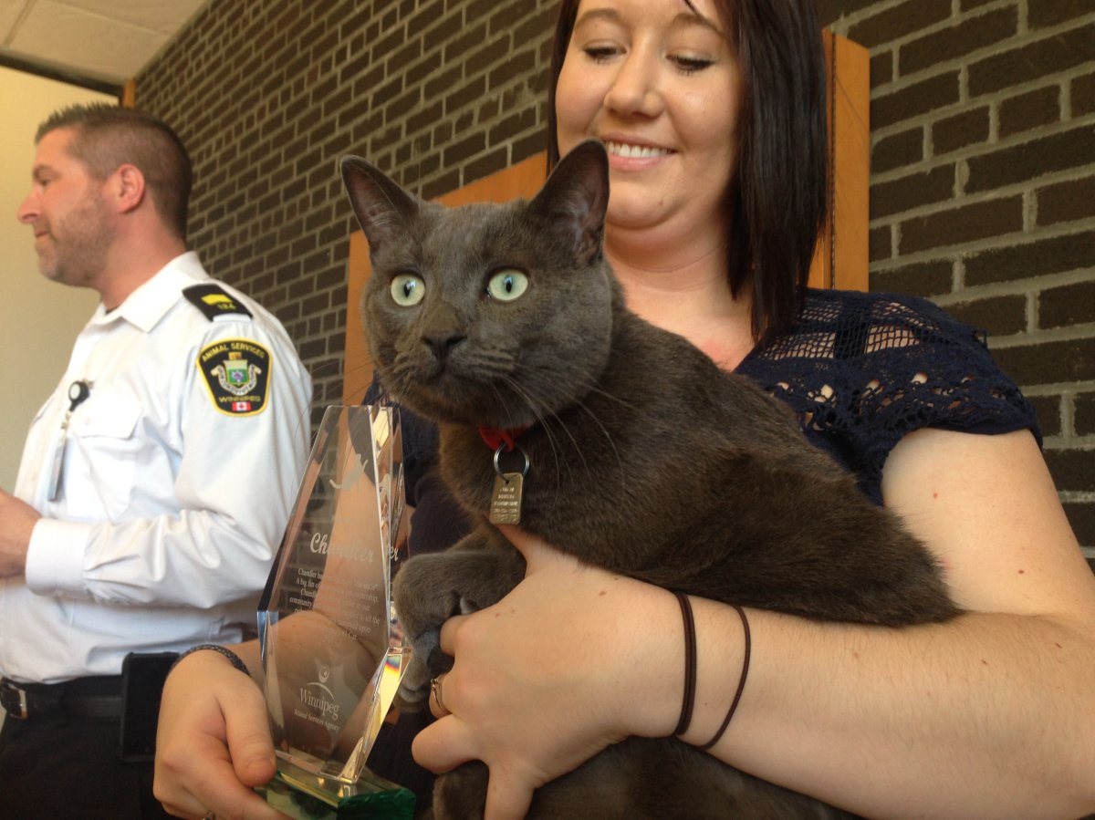 Chandler with his owner after being announced as the City of Winnipeg's #1 Cat.