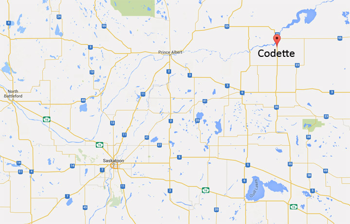 RCMP are investigating the sudden death of a 60-year-old man near Codette, Sask.