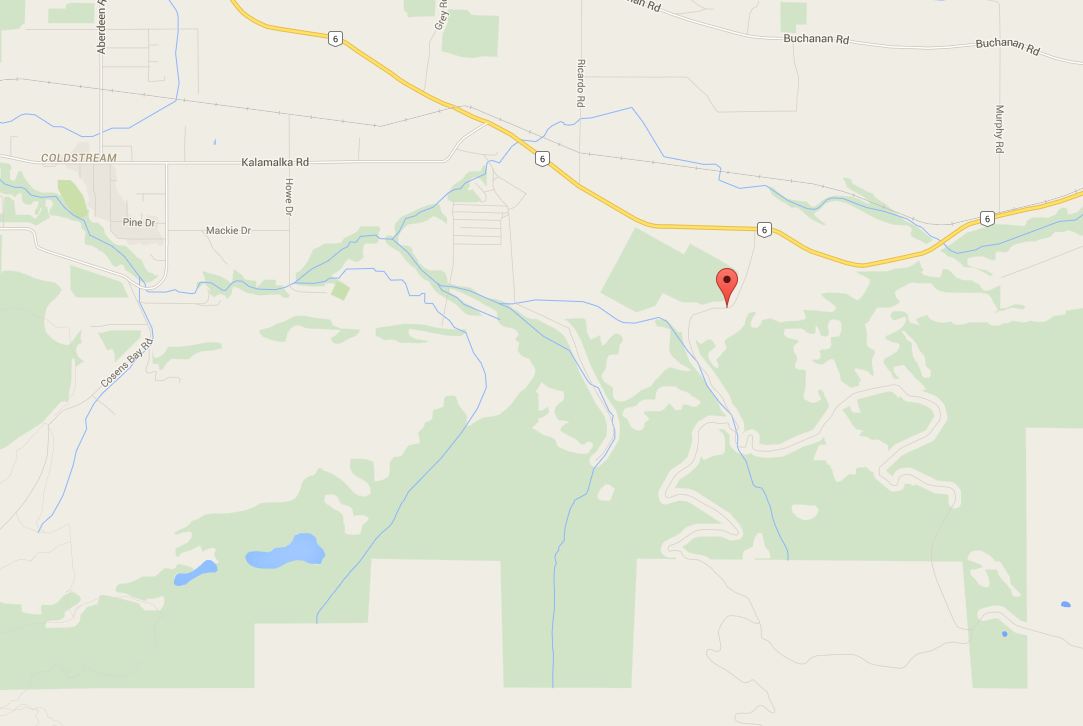North Okanagan teen dies after falling more than 30 feet off cliff - image