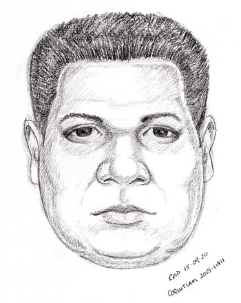 A sketch artist created this image based on the victim's description.