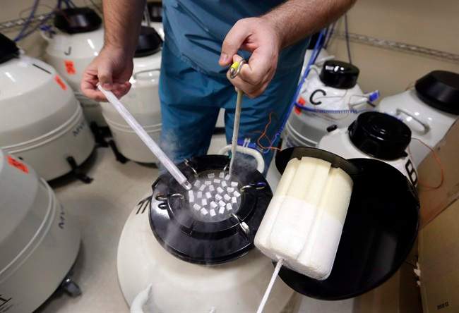 An embryologist displays some of the frozen sperm stored at Reproductive Medicine Associates of New York, in New York, Thursday, Oct. 3, 2013.