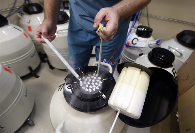 An embryologist displays some of frozen sperm stored at Reproductive Medicine Associates of New York, in this file photo.