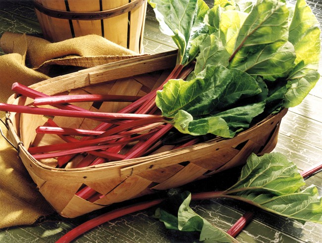 Fresh rhubarb