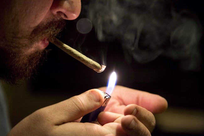 Marijuana use may be down among youth: StatsCan - image