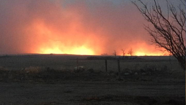 Six fire departments battle through the night to bring a grass fire near Borden, Sask. under control.