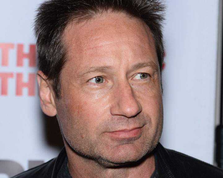David Duchovny, pictured in April 2015.