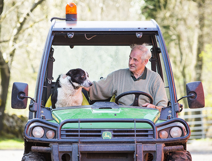 Tom Hamilton and Don the dog at Kirkton Farm in Abington, Scotland who caused tailbacks on a busy motorway this morning  Wednesday April 22, 2015. 