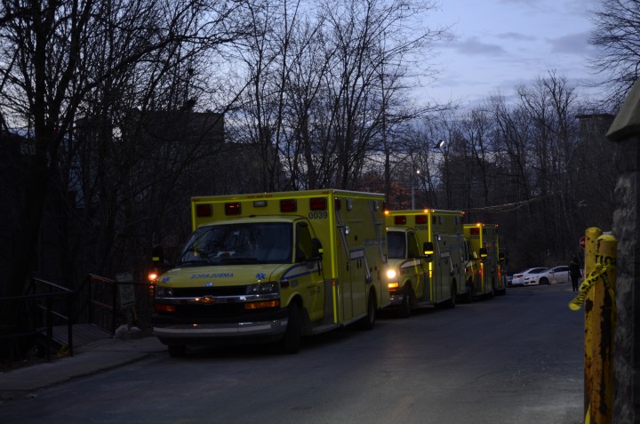 The Royal Vic is moving to the new Glen Site.