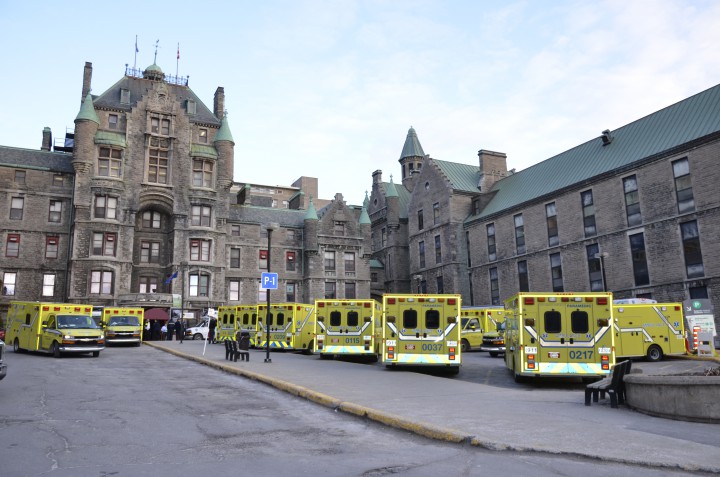 The Royal Vic is moving to the new Glen Site.