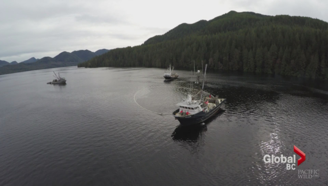 First Nations, B.C. ink marine deal for coast - image