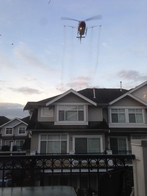 Helicopter spraying the pesticide over a neighbourhood in April. 